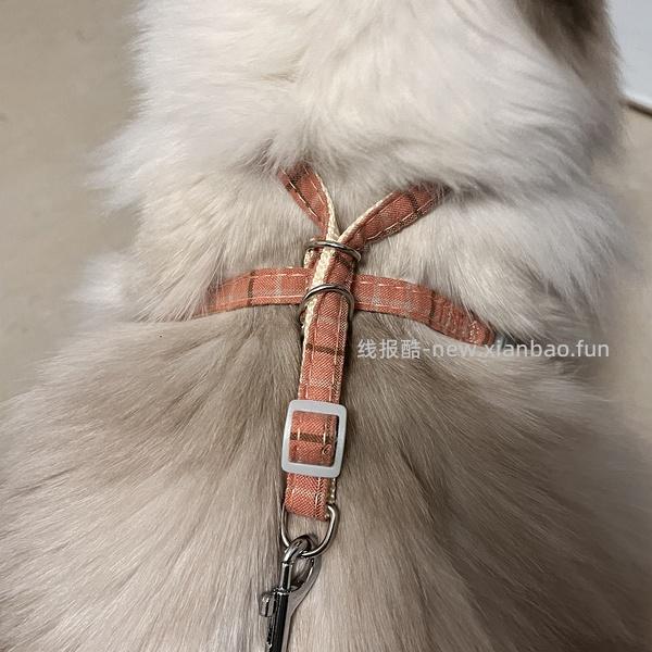 讨论/【教程】进阶版教程——如何将不到10块钱的牵引绳改造成100+的科学牵引绳 - 线报酷