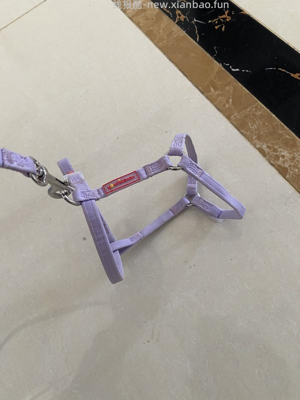 讨论/【教程】进阶版教程——如何将不到10块钱的牵引绳改造成100+的科学牵引绳 - 线报酷