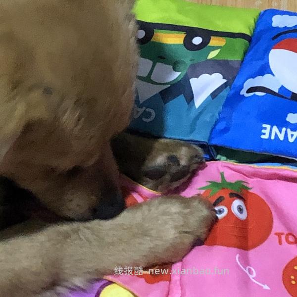 3元包邮的响纸bb叫玩具 - 线报酷