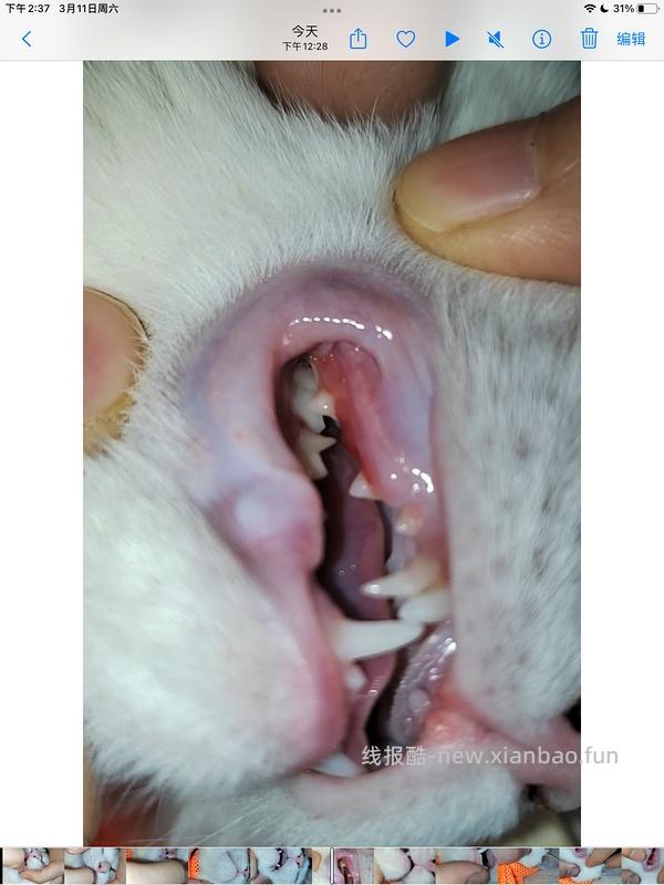 讨论/【科普】口炎的辨别 - 线报酷