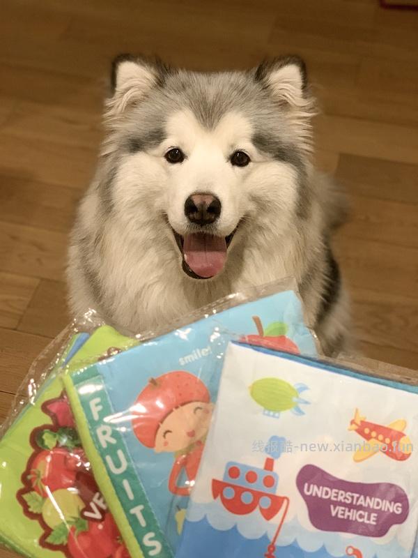 3元包邮的响纸bb叫玩具 - 线报酷