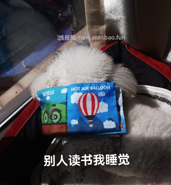 3元包邮的响纸bb叫玩具 - 线报酷