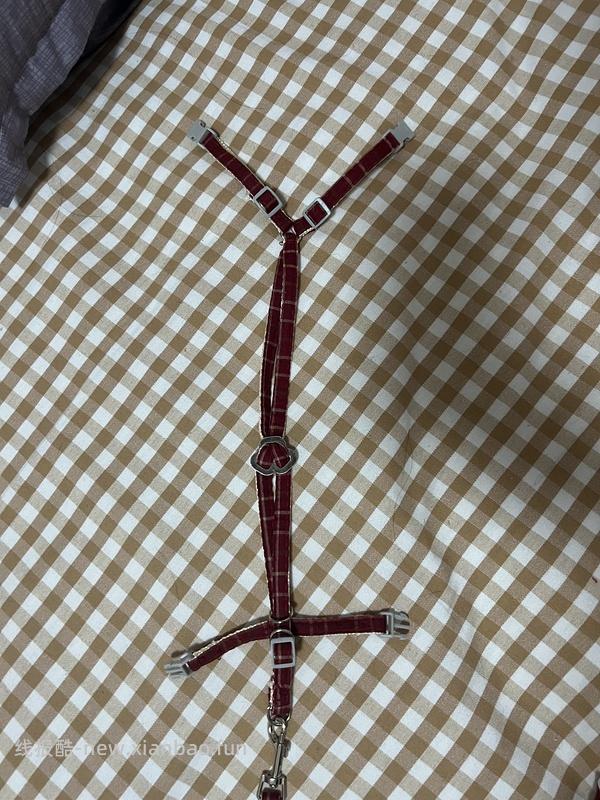 讨论/【教程】进阶版教程——如何将不到10块钱的牵引绳改造成100+的科学牵引绳 - 线报酷