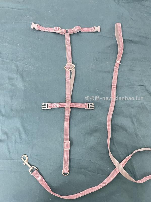 讨论/【教程】进阶版教程——如何将不到10块钱的牵引绳改造成100+的科学牵引绳 - 线报酷