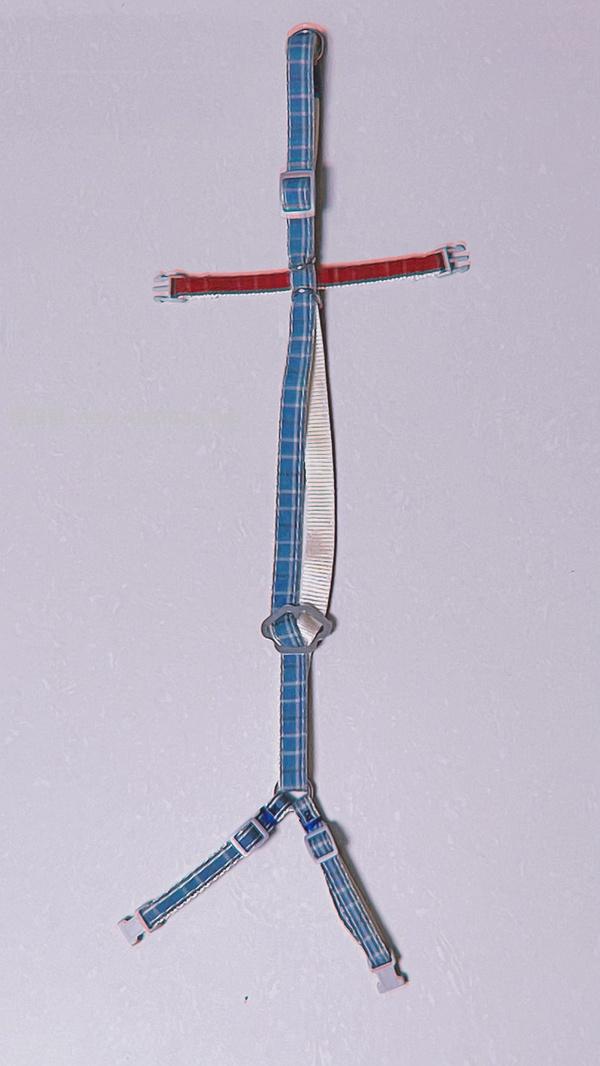 讨论/【教程】进阶版教程——如何将不到10块钱的牵引绳改造成100+的科学牵引绳 - 线报酷