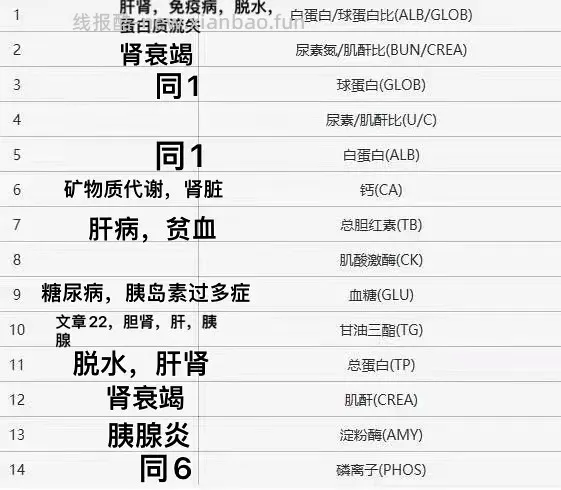 【科普】猫咪年度体检都检了些啥 - 线报酷