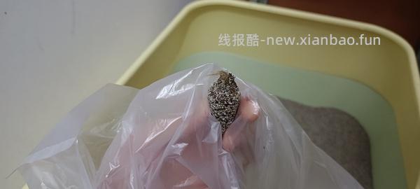 洋车前子壳粉相关 - 线报酷