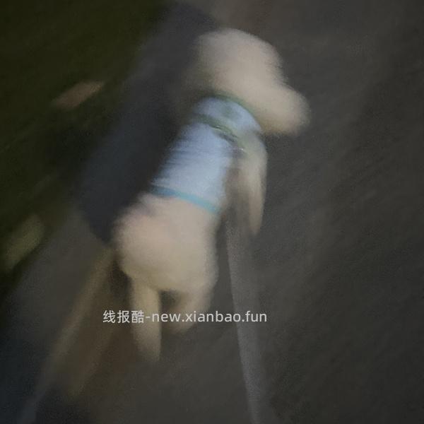 超便宜凉凉衣背心款，一款16到35r，一款45r - 线报酷