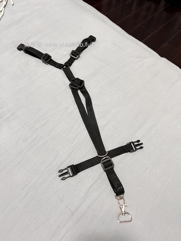 讨论/【教程】进阶版教程——如何将不到10块钱的牵引绳改造成100+的科学牵引绳 - 线报酷