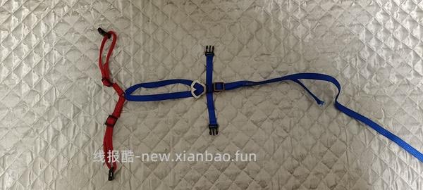 讨论/【教程】进阶版教程——如何将不到10块钱的牵引绳改造成100+的科学牵引绳 - 线报酷