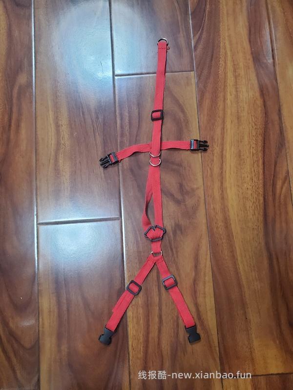 讨论/【教程】进阶版教程——如何将不到10块钱的牵引绳改造成100+的科学牵引绳 - 线报酷