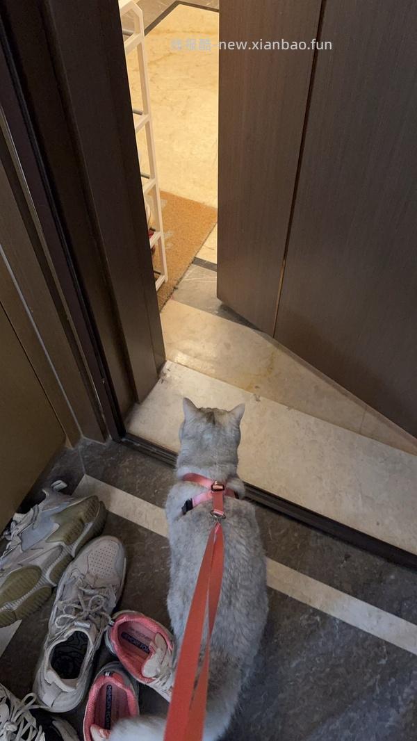 讨论/【教程】进阶版教程——如何将不到10块钱的牵引绳改造成100+的科学牵引绳 - 线报酷