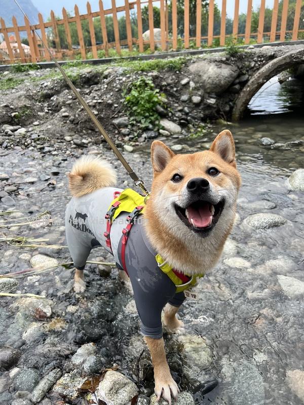 弗格兰341r一件 - 线报酷