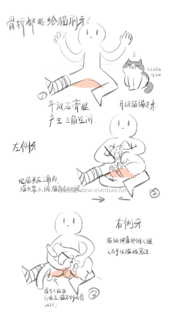 讨论/【科普】猫刷牙详细图文教程2.0 - 线报酷