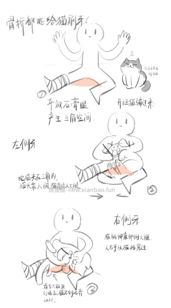 【科普】猫刷牙姿势教程2.0 - 线报酷