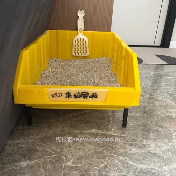 讨论/【科普】有关猫咪乱拉/乱尿行为问题的探讨 - 线报酷