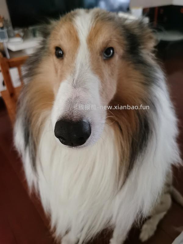 有娃的可能需要|京东plus兑换帮帮识字特权年卡 - 线报酷