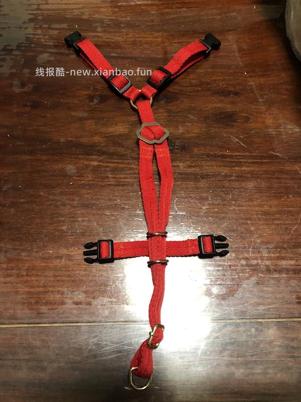 讨论/【教程】进阶版教程——如何将不到10块钱的牵引绳改造成100+的科学牵引绳 - 线报酷