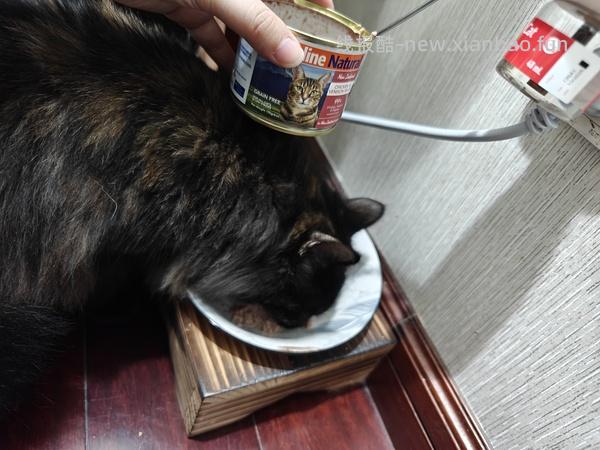 讨论/【科普】军训图及我的军训历程 - 线报酷