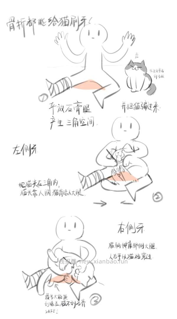 【科普】猫刷牙姿势教程2.0 - 线报酷