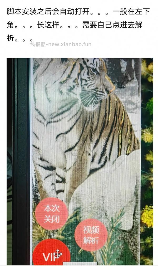 狠狠溅射｜如何用edge免费看会员视频（保姆级教程。。。 - 线报酷