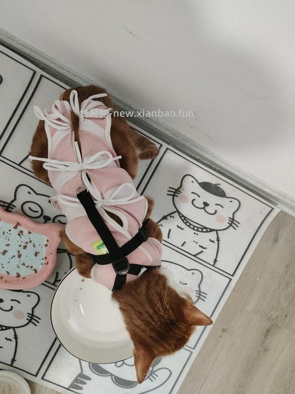 讨论/【教程】进阶版教程——如何将不到10块钱的牵引绳改造成100+的科学牵引绳 - 线报酷