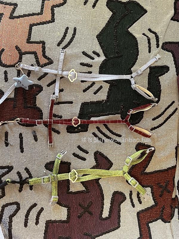 讨论/【教程】进阶版教程——如何将不到10块钱的牵引绳改造成100+的科学牵引绳 - 线报酷