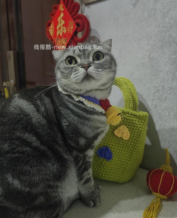 讨论/【科普】关于折耳的谣言粉碎机 - 线报酷