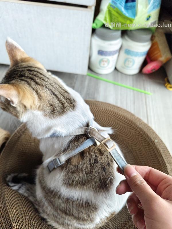 讨论/【教程】进阶版教程——如何将不到10块钱的牵引绳改造成100+的科学牵引绳 - 线报酷