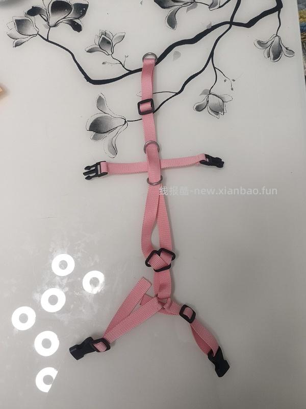 讨论/【教程】进阶版教程——如何将不到10块钱的牵引绳改造成100+的科学牵引绳 - 线报酷