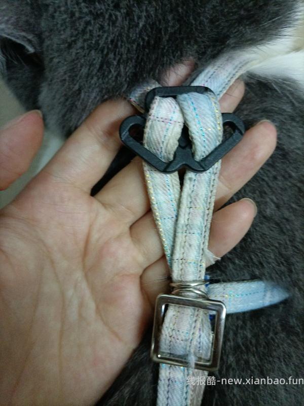 讨论/【教程】进阶版教程——如何将不到10块钱的牵引绳改造成100+的科学牵引绳 - 线报酷