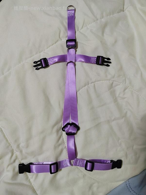 讨论/【教程】进阶版教程——如何将不到10块钱的牵引绳改造成100+的科学牵引绳 - 线报酷