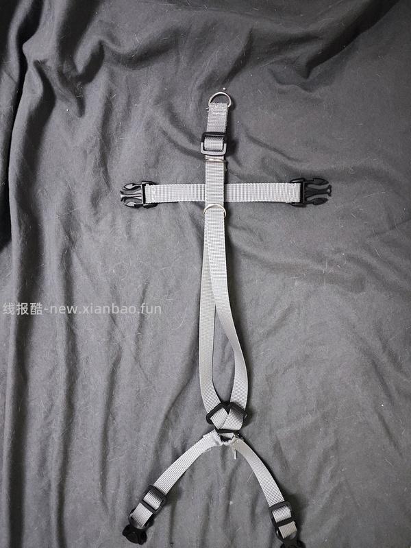 讨论/【教程】进阶版教程——如何将不到10块钱的牵引绳改造成100+的科学牵引绳 - 线报酷