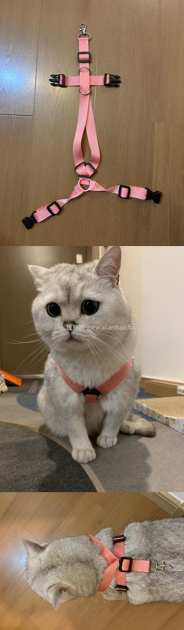 讨论/【教程】进阶版教程——如何将不到10块钱的牵引绳改造成100+的科学牵引绳 - 线报酷