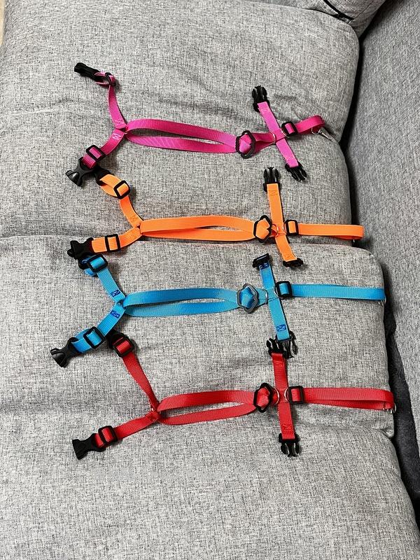 讨论/【教程】进阶版教程——如何将不到10块钱的牵引绳改造成100+的科学牵引绳 - 线报酷