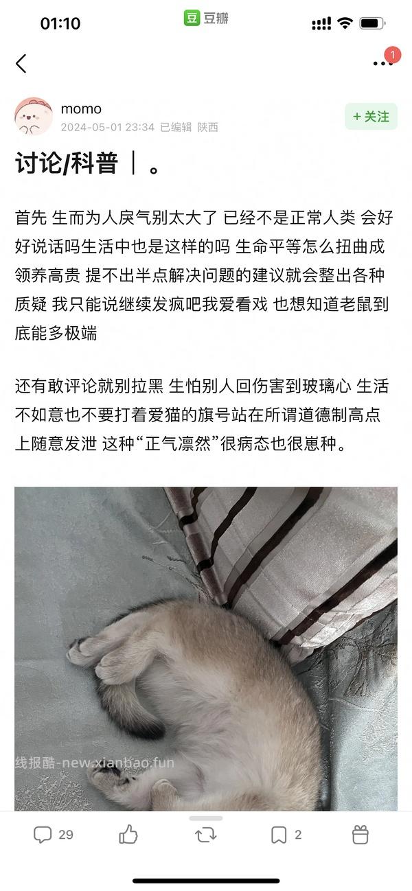 讨论/【科普】曾经宠物行业就业人员带大家看看真实后院猫的生存环境 - 线报酷