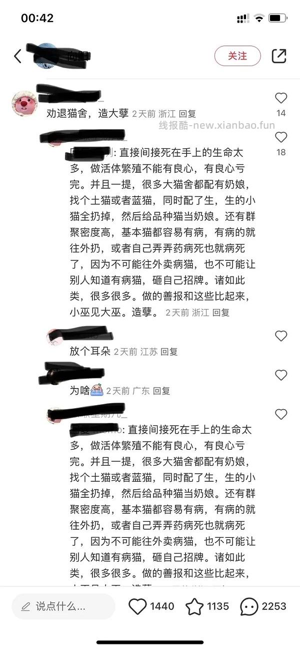 讨论/【科普】曾经宠物行业就业人员带大家看看真实后院猫的生存环境 - 线报酷