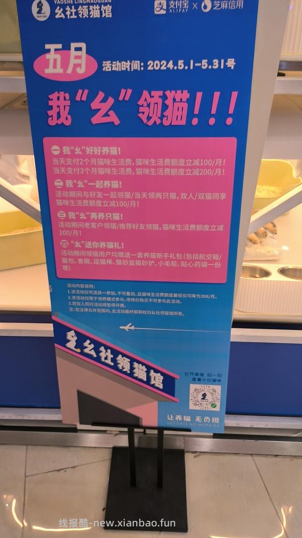 讨论/【科普】曾经宠物行业就业人员带大家看看真实后院猫的生存环境 - 线报酷