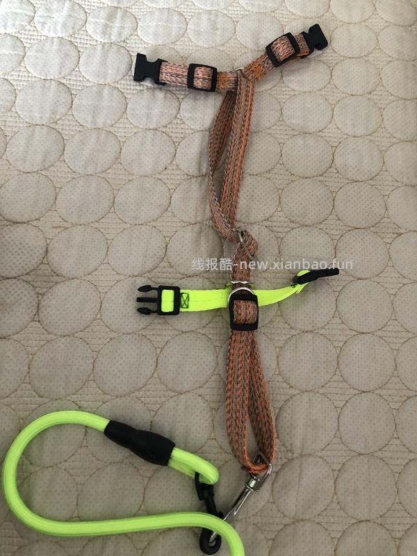 讨论/【教程】进阶版教程——如何将不到10块钱的牵引绳改造成100+的科学牵引绳 - 线报酷