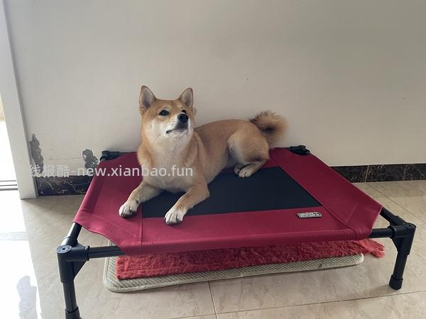 【车暂走】kh行军床中号好价54 - 线报酷