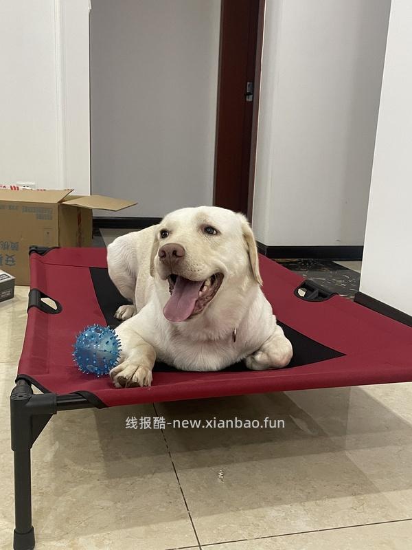 【车暂走】kh行军床中号好价54 - 线报酷