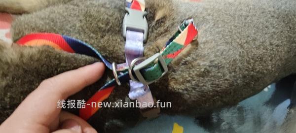 讨论/【教程】进阶版教程——如何将不到10块钱的牵引绳改造成100+的科学牵引绳 - 线报酷