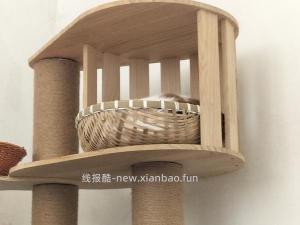 讨论/【科普】多猫家庭中几种不易察觉的冲突 - 线报酷