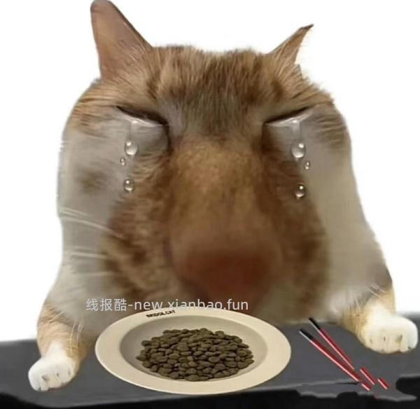 好价！贵茶抹茶粉3pro绿初 62g 💰22r送摇摇杯 凑单💰20r拿下（联系客服杯子可以换成抹茶3条）发疯有专楼哈不要影响作业贴 - 线报酷