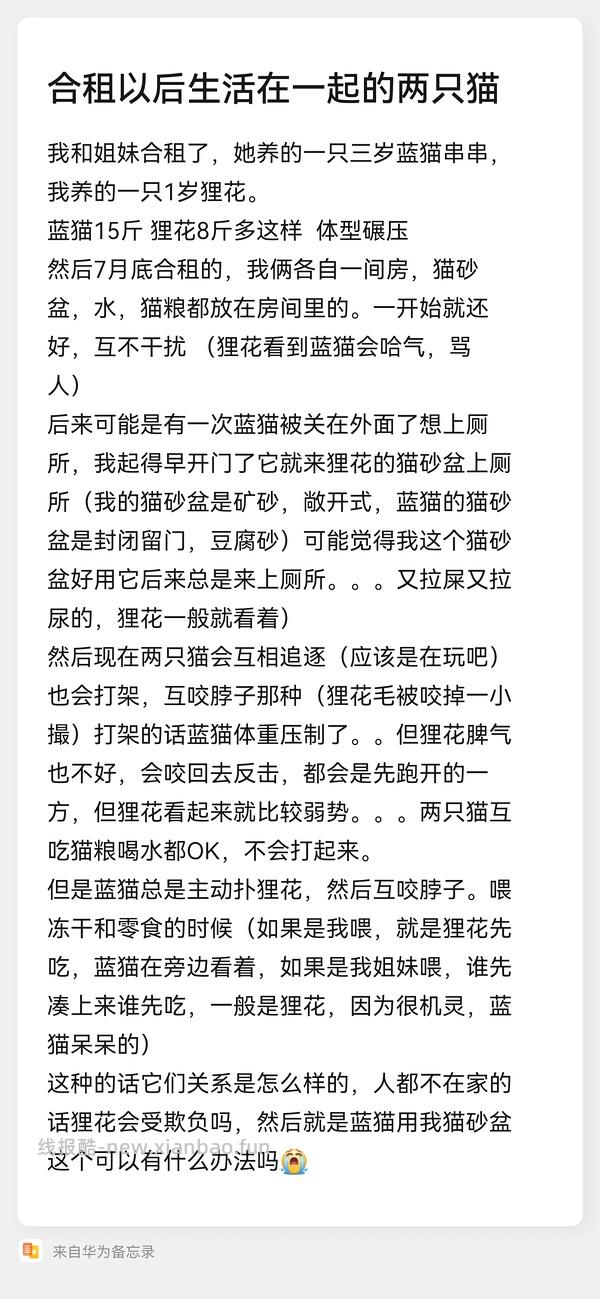 讨论/【科普】多猫家庭中几种不易察觉的冲突 - 线报酷
