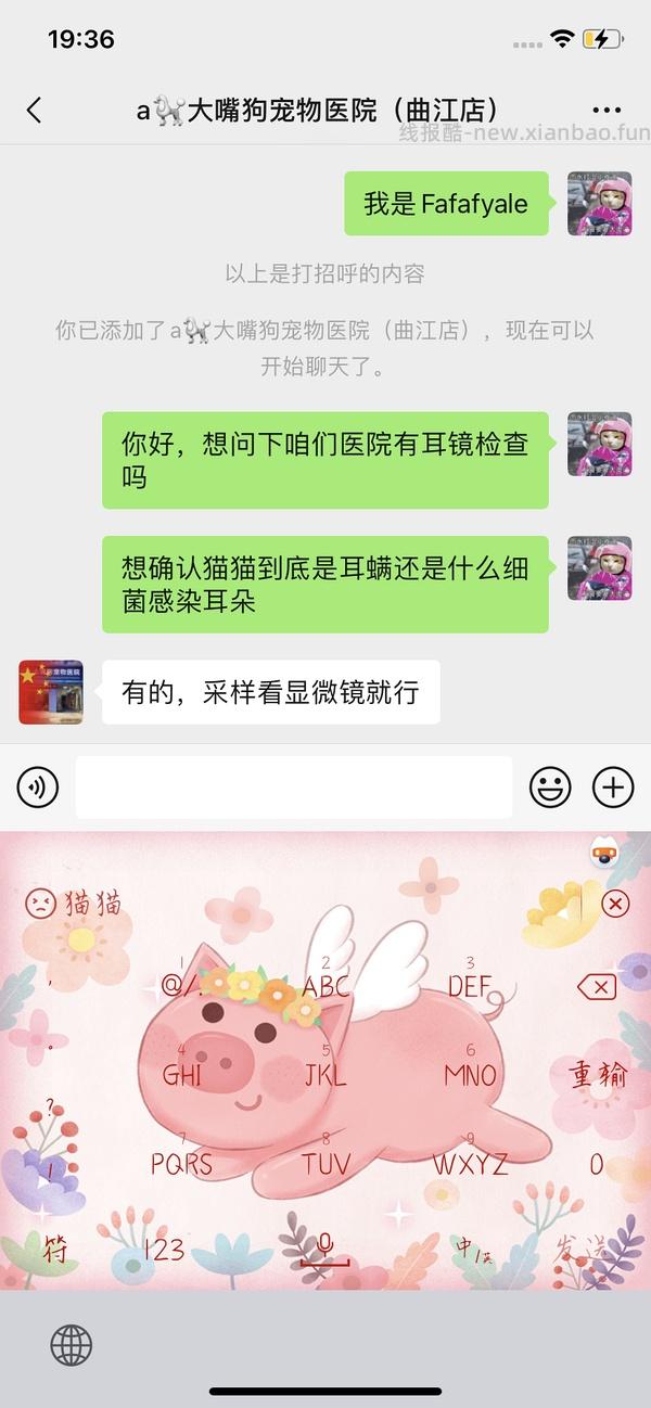 讨论/【科普】关于耳螨，马拉色菌和猫癣的一点看法 - 线报酷