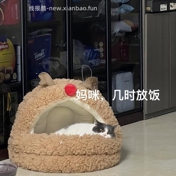 半价入Zeze巨可爱猫窝 - 线报酷