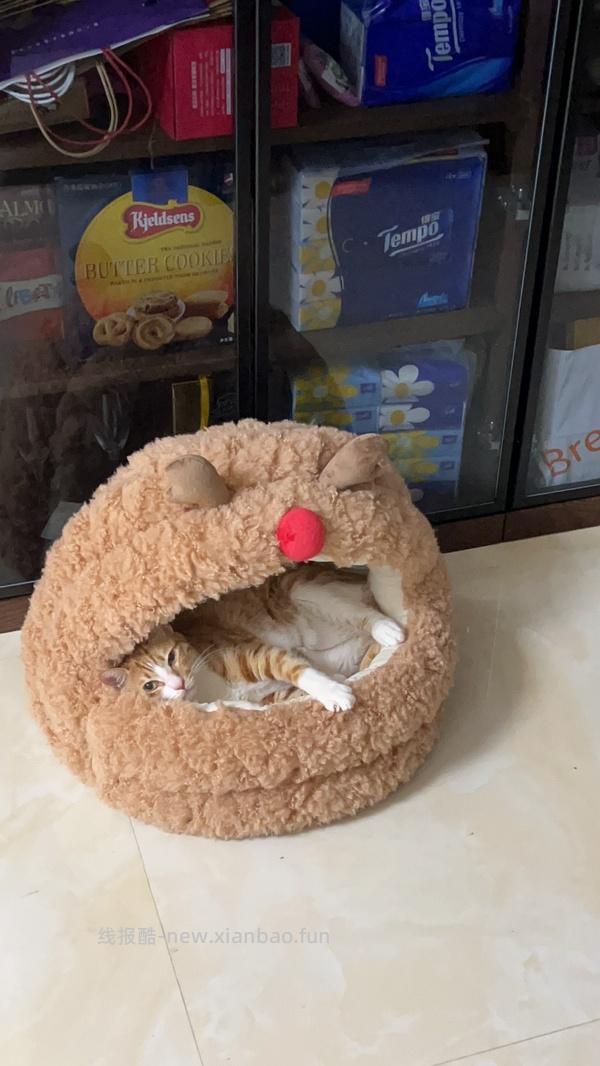 半价入Zeze巨可爱猫窝 - 线报酷
