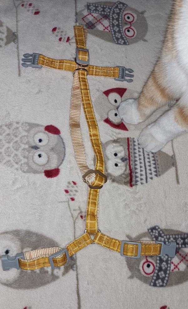 讨论/【教程】进阶版教程——如何将不到10块钱的牵引绳改造成100+的科学牵引绳 - 线报酷