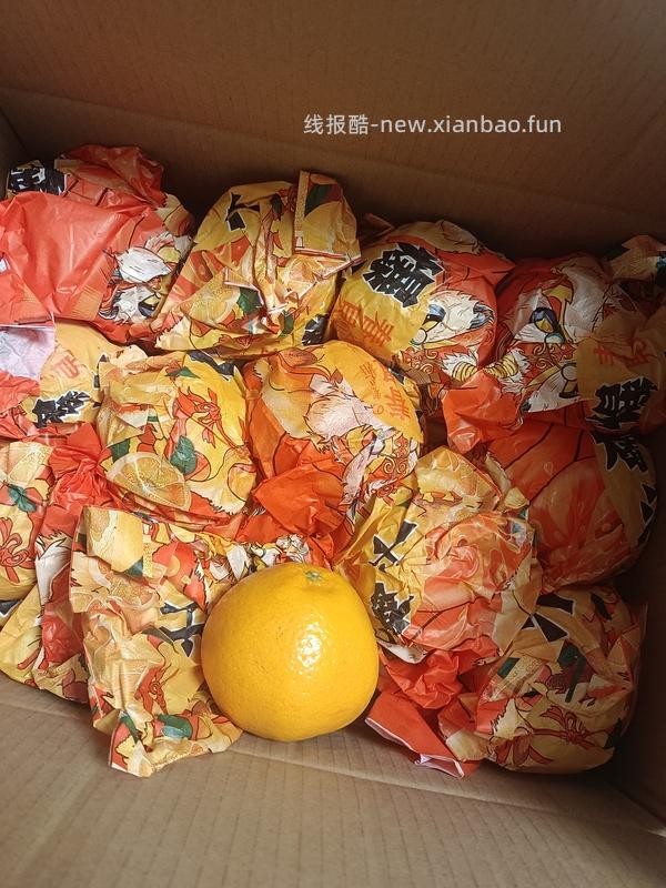 耙耙柑五斤大果 1.2车走（含反馈） - 线报酷